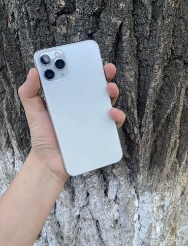 штатив телефон: IPhone 11 Pro, Серебристый