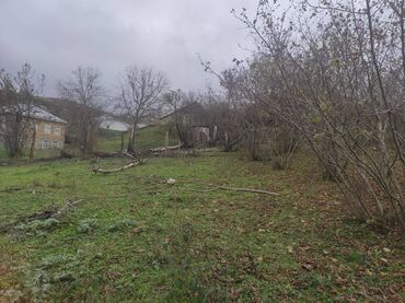 qobu lokbatan yolu torpaq: 20 sot, Tikinti, Mülkiyyətçi, Kupça (Çıxarış)