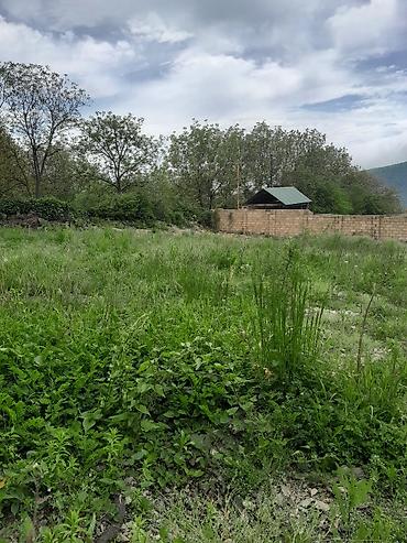 Torpaq sahələrinin satışı: Satış üçün torpaq sahəsi - Yaşıl örtüklü, meşəyə yaxın, təbiətlə — 3