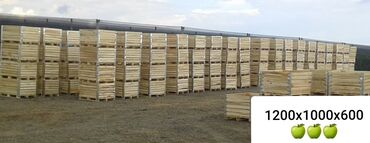 Drvena građa, šperploča: Box Palete - sanduci za voće i povrće ‼BOX PALETE‼ ‼DRVENE PALETE‼ — 5