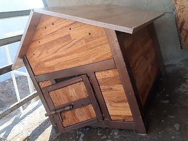 Зоотовары: Делаем будки на заказ для ваших любимцев ( кошки, собаки можно и at lalafo.kg — 5 Зоотовары: Делаем будки на заказ для ваших любимцев ( кошки, собаки можно и — 5