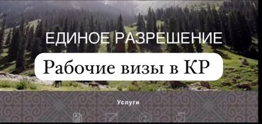 сколько стоит виза в японию для кыргызстанцев: Визы рабочие в КР Оформление единого разрешения и рабочих виз для