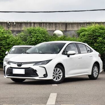 Toyota: Toyota Corolla: 1.8 l | 2024 il Sedan