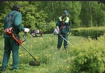 скарификатор: Уборка территории, Уборка снега, Уборка двора и сада, Мойка фасада — 2