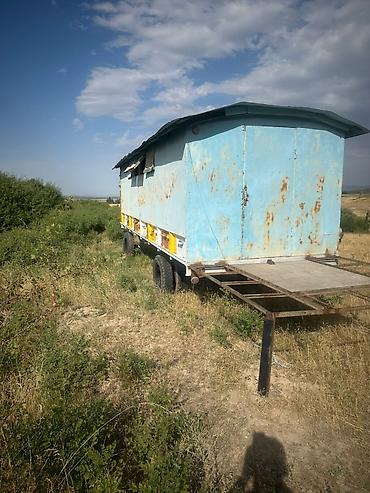 тент крыша: Передвижной пчеловодный павильон (прицеп-омшаник) внутри 28 ульи — 3