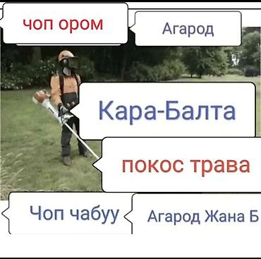 smart box: Уборка территории, Стрижка газона — 2