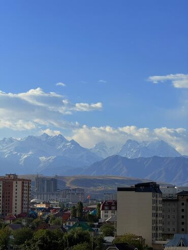 Долгосрочная аренда квартир: 2 комнаты, Собственник, Без подселения, С мебелью полностью — 5