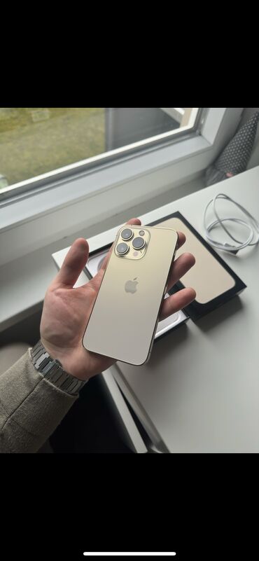 iphone se polovan: Apple iPhone iPhone 13 Pro