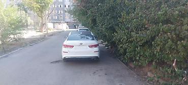 k5 2011: Kia Optima: 2020 г., 0.2 л, Газ, Седан — 1