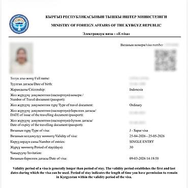 visa: Визы в Кыргызстан, США, Японию и Шенген. Помогаю с оформлением виз в — 10