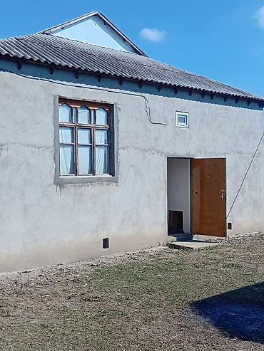 qobuda ucuz evler: 3 otaqlı, 86 kv. m, Orta təmir — 4
