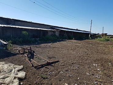 Аренда участков: 900 соток Для бизнеса, Электричество, Водопровод — 9