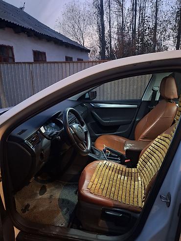 Skoda: Skoda Octavia: 2017 г., Седан — 5