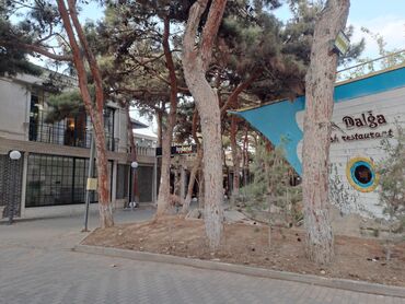 Sırğalar: 2 otaqlı, Yeni tikili, 33 kv. m