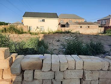 50 mine heyet evleri: 10 sot, Mülkiyyətçi — 1