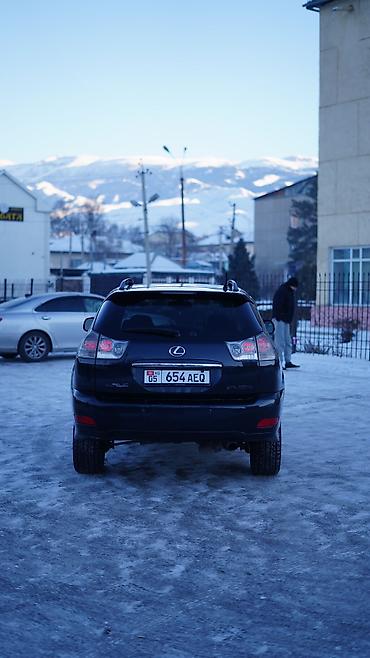 Lexus: Lexus RX: 2003 г., 3.3 л, Автомат, Бензин, Универсал — 15