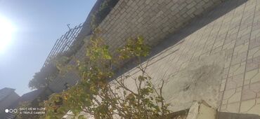 Bağ evlərinin satışı: Bakı, Şüvəlan qəs., 160 kv. m, 5 otaqlı, Hovuzsuz, Kanalizasiya, Kombi, Qaz -da lalafo.az — 18 Bağ evlərinin satışı: Bakı, Şüvəlan qəs., 160 kv. m, 5 otaqlı, Hovuzsuz, Kanalizasiya, Kombi, Qaz — 18