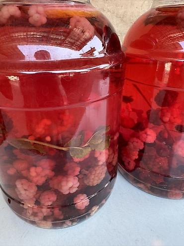 лимон: 🍃Домашний “Мохито” с ягодами🍓 ✨ Натуральный состав: • Ежевика • — 2