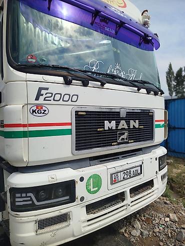 Тягачи: Тягач, MAN, Тентованный — 7