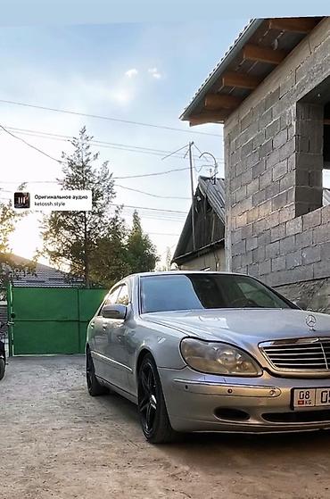 mersedes e class: Mercedes-Benz S-Class: 2000 г., 5 л, Автомат, Бензин, Седан — 3