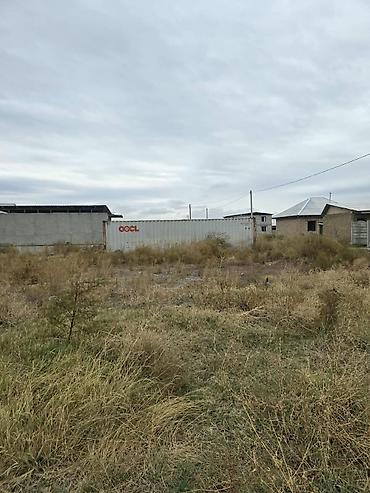 4 соток, Красная книга, Договор купли-продажи