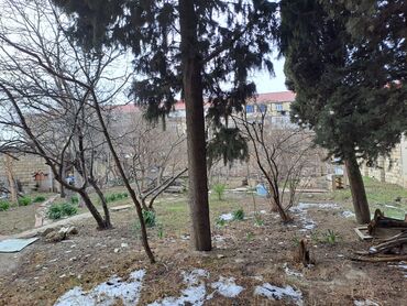 Kommersiya daşınmaz əmlakının satışı: 25 SOT TORPAQ SAHESI SATILIR!!! icinde 200 kvd liq tikili -da lalafo.az — 7 Kommersiya daşınmaz əmlakının satışı: 25 SOT TORPAQ SAHESI SATILIR!!! icinde 200 kvd liq tikili — 7