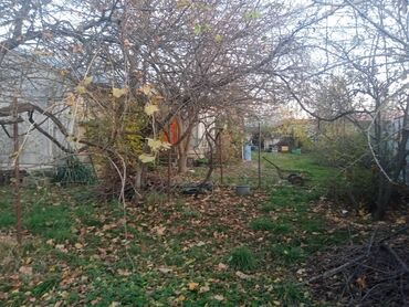 Həyət evi alıram: 128 kv. m, 8 otaq, Qaz, İşıq, Su — 11