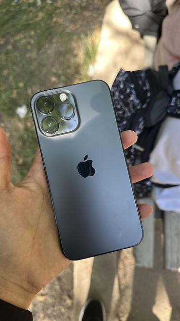 IPhone 15 Pro Max, цвет Black Titanium (черный титановый) АКБ-100