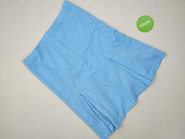 sukienka chabrowa plus size: Spódnica damska, rozmiar 2XL — 2