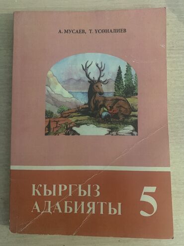 Китептер, журналдар, CD, DVD: Книга по кыргыз адабиату 5 класс