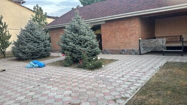 Долгосрочная аренда домов: 380 м², 10 комнат, Видеонаблюдение, Бронированные двери, Евроремонт — 25