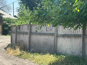 туп: 147 соток, Кызыл китеп — 8