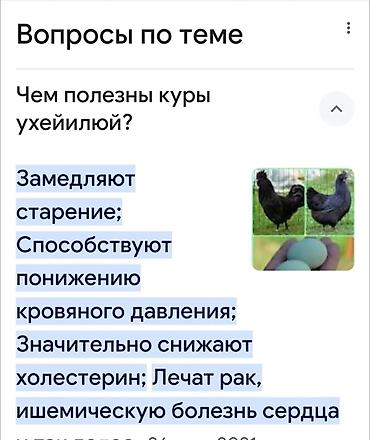 слив черная пантера: Продаю | Инкубационные яйца, Куры, Петух | Для разведения — 6