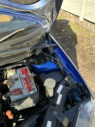 Mazda: Mazda Demio: 2003 г., 1.5 л, Автомат, Бензин, Хэтчбэк — 10