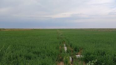 Продажа участков: 1300 соток, Для сельского хозяйства — 8