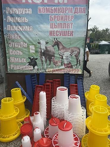 сетка для курица: Корм и инвентарь для сельскохозяйственной птицы и животных — 1