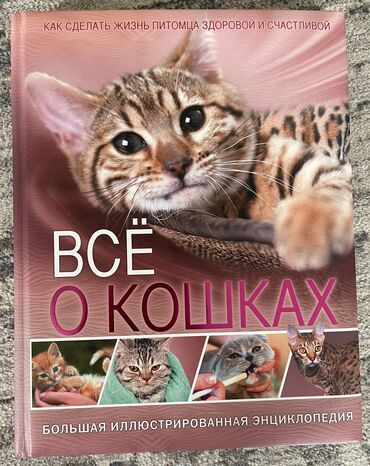 Книги, журналы, CD, DVD: Энциклопедия «Всё о кошках»