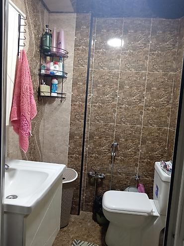 приют для животных в баку адрес: 2 комнаты, Новостройка, 50 м² — 8