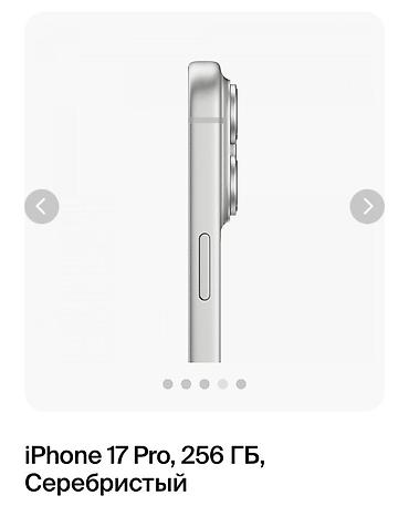 колонки с микрофоном для караоке: IPhone 17 Pro, 512 серебристый - Корпус в серебристом цвете, плоские — 3