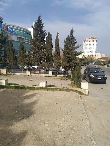 Продажа коммерческой недвижимости: Təcili!!! Razilaşma yolu ilə 17m/r, İsmət Qayıbov küçəsi, 35 kv, Yol — 3