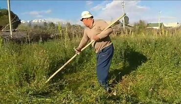 работа для студентов ежедневная оплата: Чоп чапканы балдар керек кунуно 2000 сомдон эсептелет