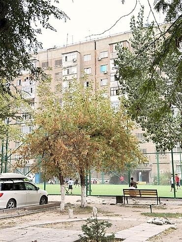 Продажа квартир: 1 комната, 36 м², 105 серия, 1 этаж, Косметический ремонт — 8