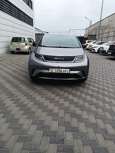 BYD: BYD Dolphin: 2023 г., Электромобиль, Хэтчбэк — 2