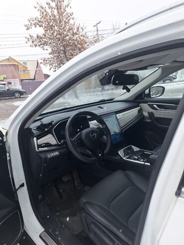 Weltmeister: Weltmeister EX5, 2021 г. — 5