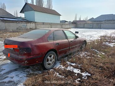 Honda: Honda Accord: 1996 г., 2 л, Механика, Бензин, Седан