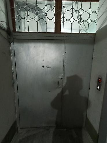 Двери на заказ: Металлическая дверь на заказ, В подъезд, Двухстворчатая, Стальная — 2