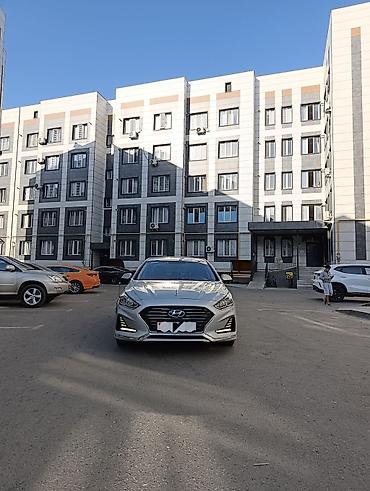highlander 2012: Hyundai Sonata: 2019 г., 2 л, Автомат, Газ, Седан — 1