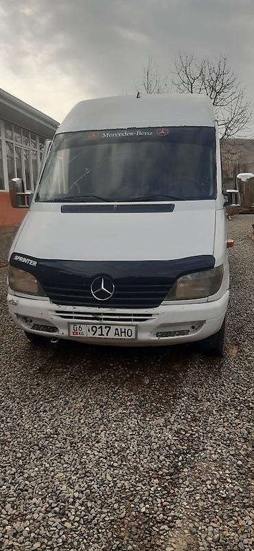 Mercedes-Benz: Mercedes-Benz Спринтер: 2001 г., Дизель, Бус — 1