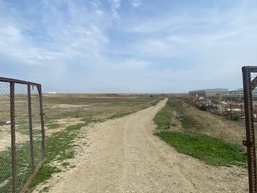 Kommersiya daşınmaz əmlakının satışı: FERMA satılır Pirəkəşkül qəsəbəsində — 11