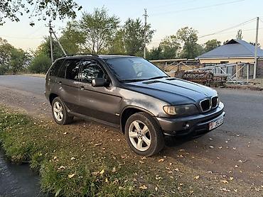 1 9 тди: BMW X5: 2003 г., 3 л, Автомат, Дизель, Кроссовер — 2